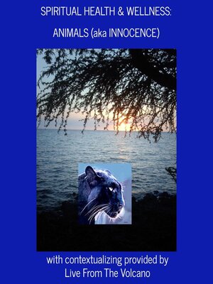 cover image of Spiritual Health & Wellness